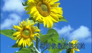 0001 等一个晴天