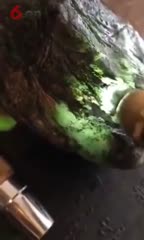 典藏翡翠