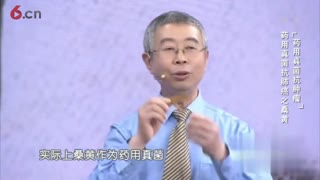 药用真菌抗肿瘤之桑黄