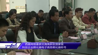 西嘉网络喜获北海高新区电子商务孵化器称号