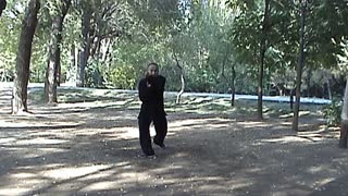 包头武术-八极拳第七代传人韩氏八极拳第三代传人韩来魁完整版