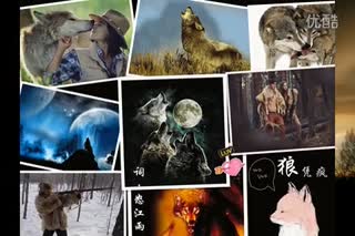 怒江雨《狼凭疯》