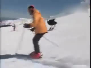 滑雪的鸵鸟