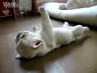 搞笑视频 老电影_标清_标清 - 副本