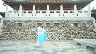 古风美女跳柔美舞蹈《铜雀赋》