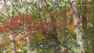 爱你却要说分手 饭制版--音悦Tai