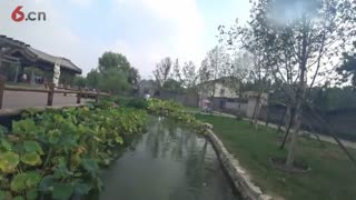 昔日老胡同 今日俏江南
