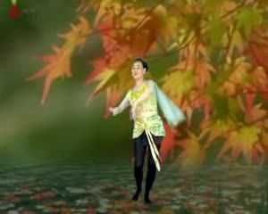 经典视觉音画《秋蝉》视频制作：舞者清心