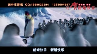 预告片4 新婚快乐 花栗鼠祝福