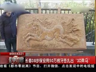 长春38岁保安用50万根牙签扎出“3D奔马”