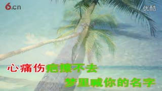 最新网络伤感情歌【思念天边的你】