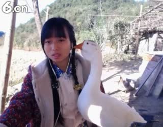 六间房甜美女主播东方不败哪