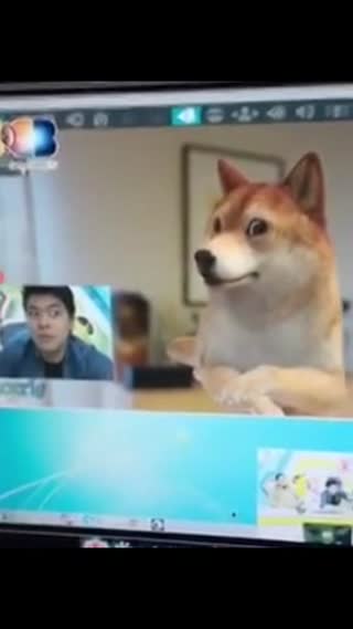 爆笑狗狗模仿软件