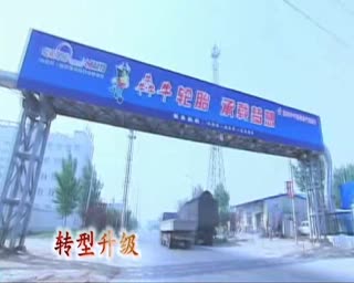犇牛轮胎五年发展历程