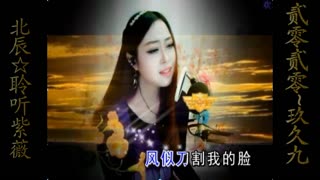 西海情歌-----2017年贺岁片