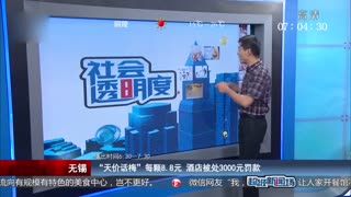 “天价话梅”每颗8.8元 酒店被处3000元罚款