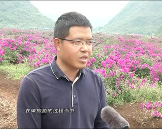 桂林花海新闻