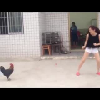 你惹他干嘛