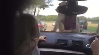太污了！两个猴子在车头居然做这种事