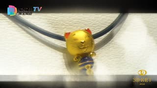 3D凯恩特2013新品展示