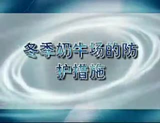养殖奶牛-冬季奶牛高产饲养技术.flv