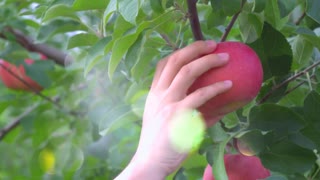 夏进巴氏奶（30秒）