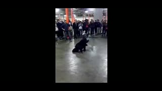纽约警察和街舞少年街头斗舞