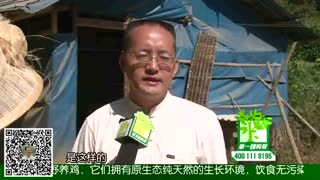 第一团购视频