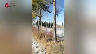 沿路的雪景也不错哦 19.1.17