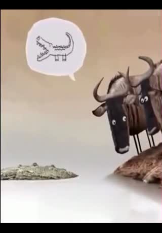 哈哈这配音真是绝了！