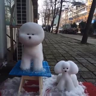 卧槽差点我就信了