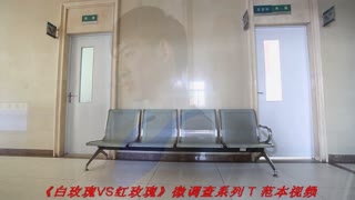 -付婉凝- 燃情作品《白玫瑰VS红玫瑰》微调查系列 T 范本视频