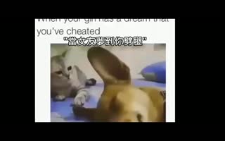 搞笑短片精选！