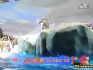 壹品网超凭借庞大的货源体系，严把商品质量关