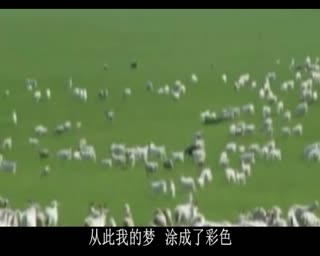下马酒之歌 德德玛之草原风吹过