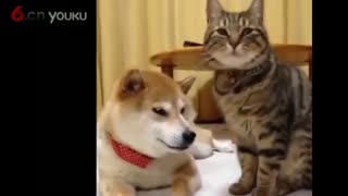 哈哈哈这笑声太魔性啦！