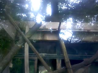 2013-07-14_13-18-47_439_合并视频_已处理