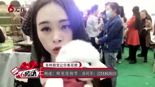 各种萌宠让你看花眼17.04.04