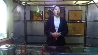 2014款海鸥造型流动小吃车