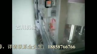 糖果类食品给袋式包装机