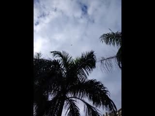 20160721112406234.mp4.flv