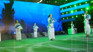 我的2017元旦节琴弦书画舞蹈❤♥清爽❤♥柔霸舞蹈
