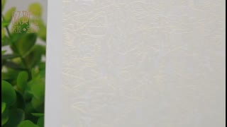 集成吊顶十大品牌欧斯宝舒枝展叶镭射