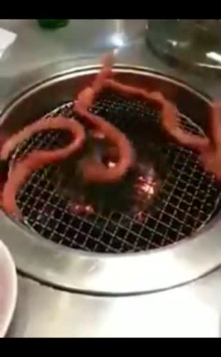 好吓人的一道韩国料理：活烤盲鳝