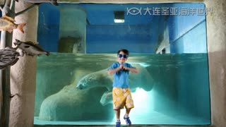 亲子互动High玩大连圣亚海洋世界
