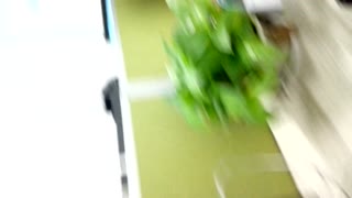 VID_20160923_195743