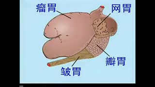 农村秸秆养牛技术 秸秆生物发酵饲料养牛.flv
