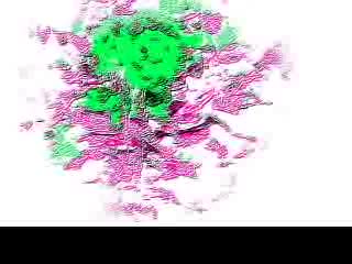 花的世界_0001