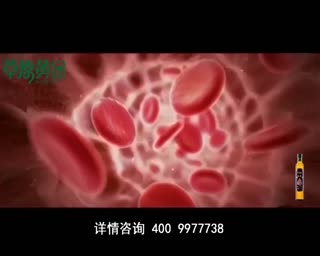 草原鸿雁-草原黄金