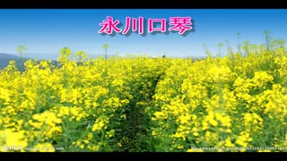 彩云追月囗琴